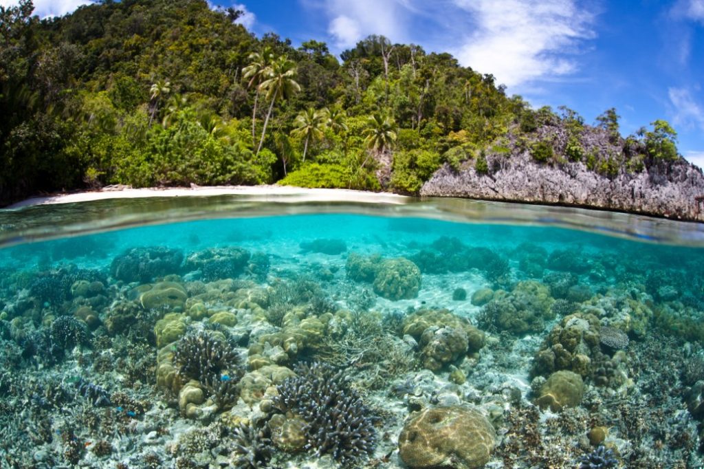 Privé: Papua onder de zeespiegel