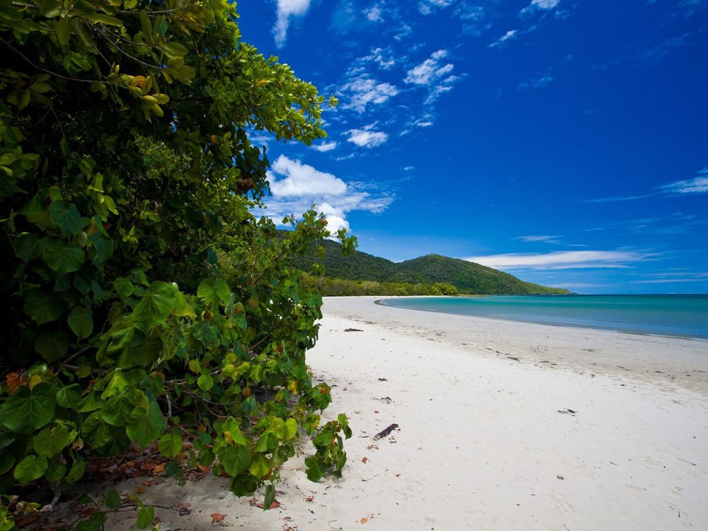 Cape Tribulation | Rama Tours