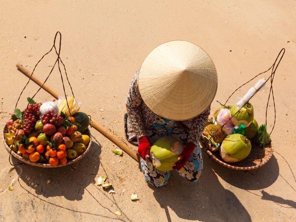 Vietnam in vogelvlucht