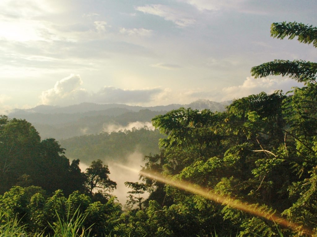 Reisverslag Djordy Door Het Hart Van Sulawesi Rama Tours